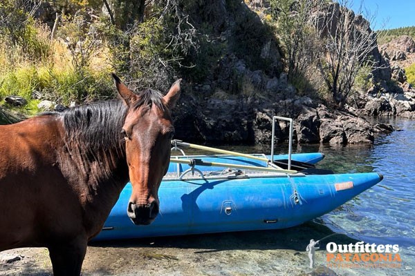 Fly Fishing Trips in Bariloche